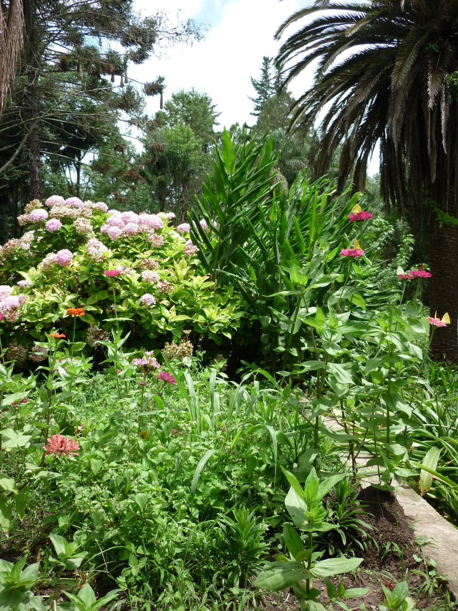Finca La Colorada San Salvador de Jujuy Cameră foto